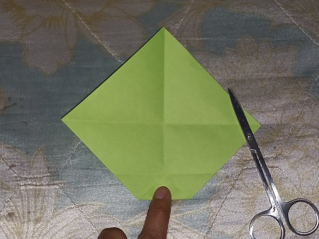 20250512_195606.jpg