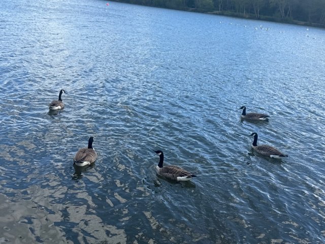 IMG_7480.jpeg