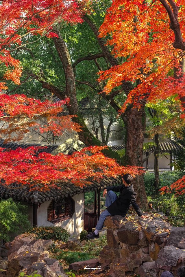 接下来几个月的苏州，将是秋季旅行的天花板！_5_鹤七月良_来自小红书网页版.jpg