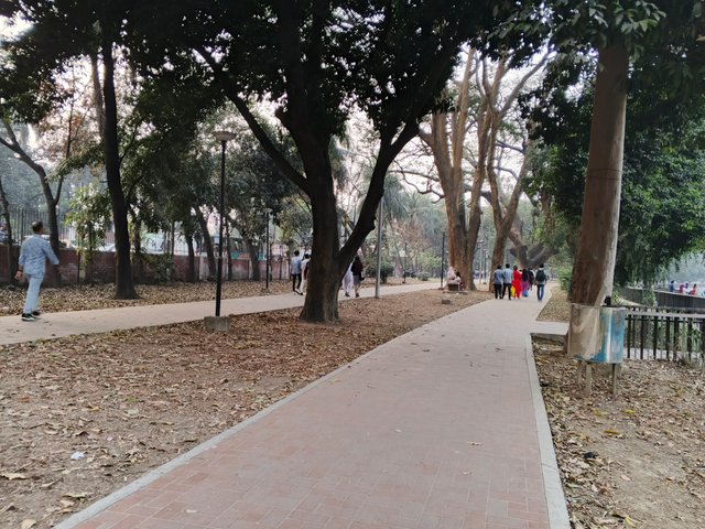 IMG_20250227_172150_345.jpg
