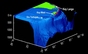 Florida_reef_tract.png