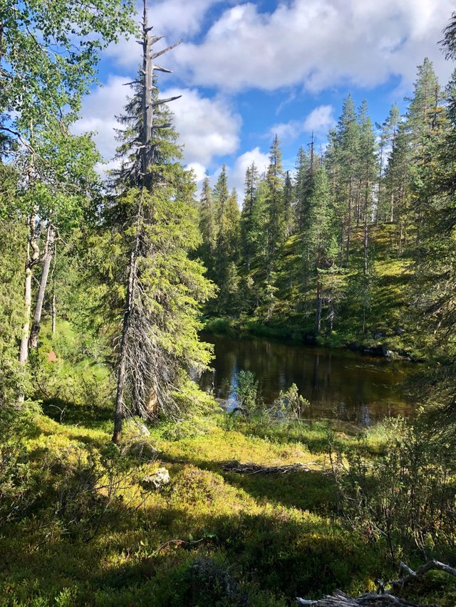 kleiner see.jpg