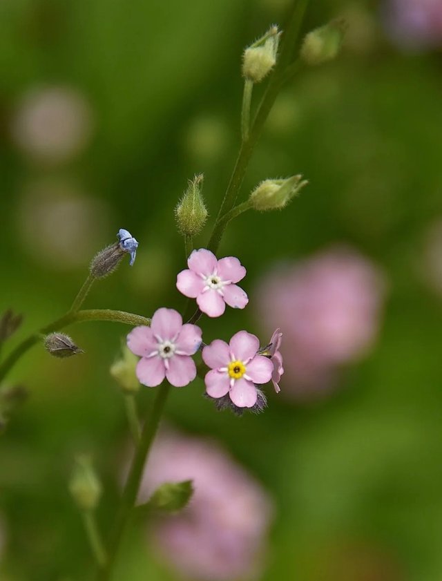 IMG_20250615_084943.jpg