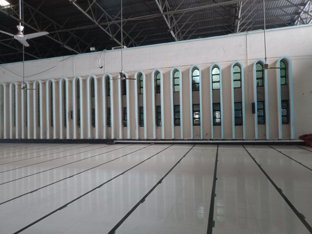 IMG20250512181219.jpg