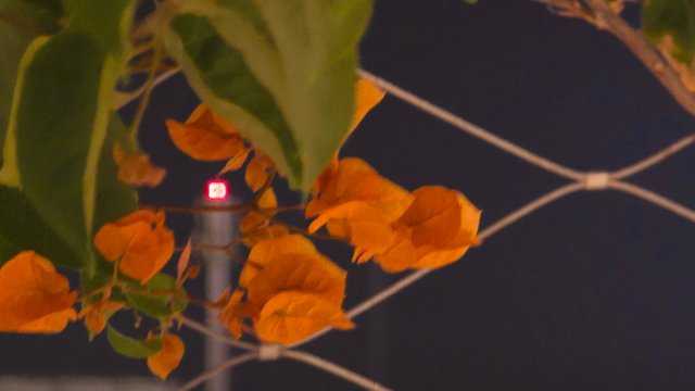 20250330_212423.jpg