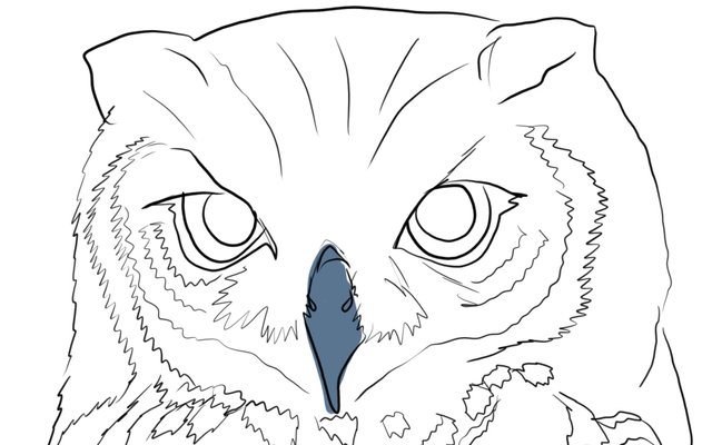 owl face(347).jpg
