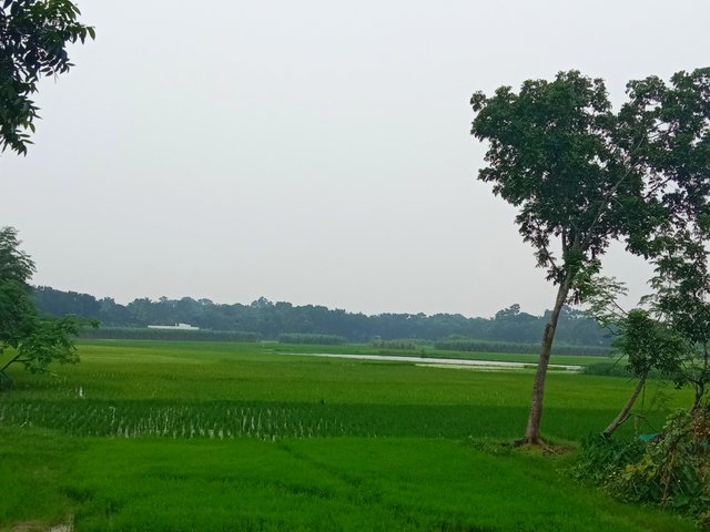 IMG_20250807_201647.jpg
