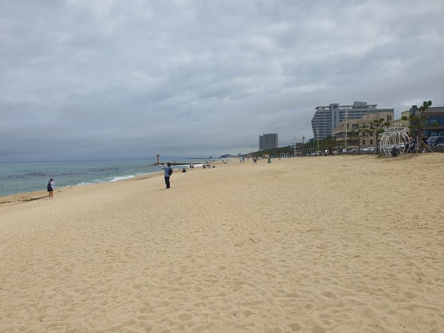 20250626_125132.jpg