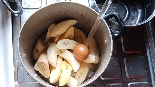 IMG20250926095602.jpg