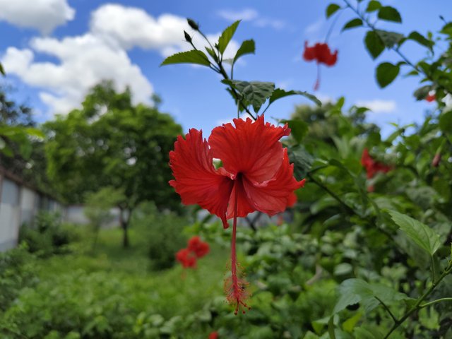 IMG_20250708_130138.jpg