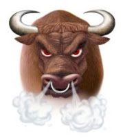bull.jpg