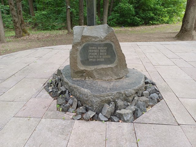 20250517_164556.jpg
