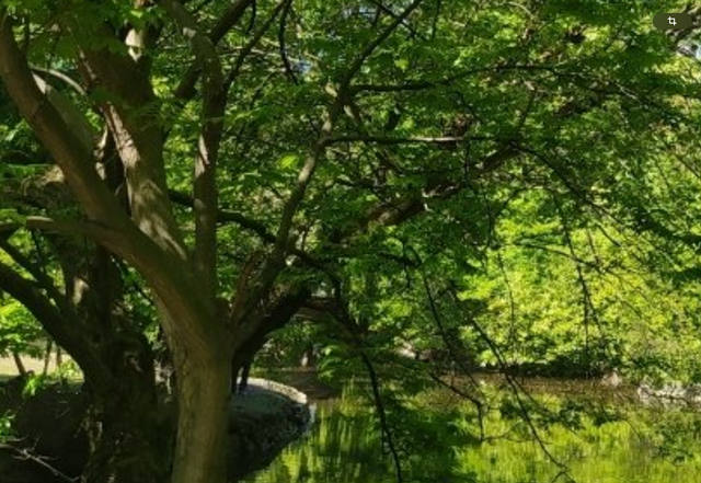 IMG_0044.png