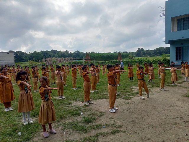 IMG20250825084411.jpg