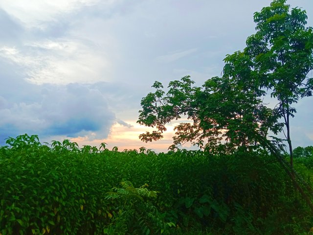 IMG_20250916_221149.jpg