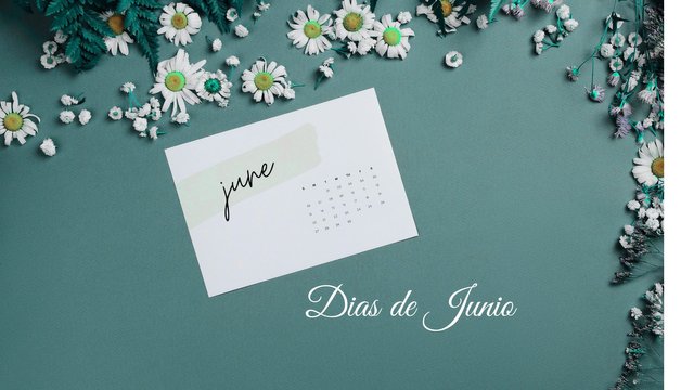 Dias de Junio.jpg