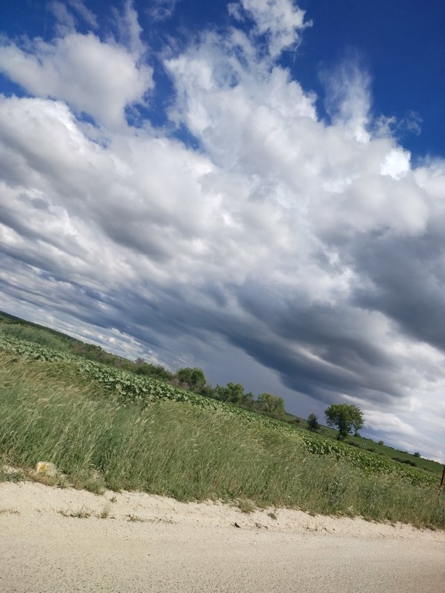 IMG_20250530_161058_HDR.jpg