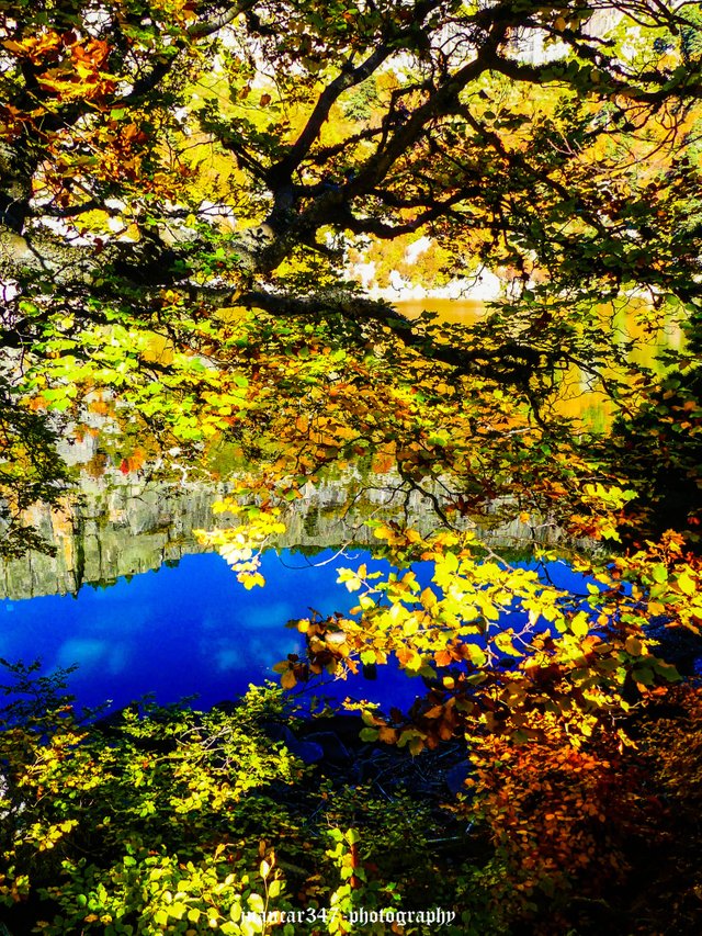 P1170773_edited.jpg