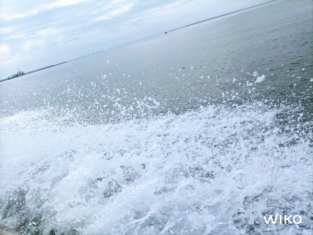 IMG_20241129_134714514.jpg