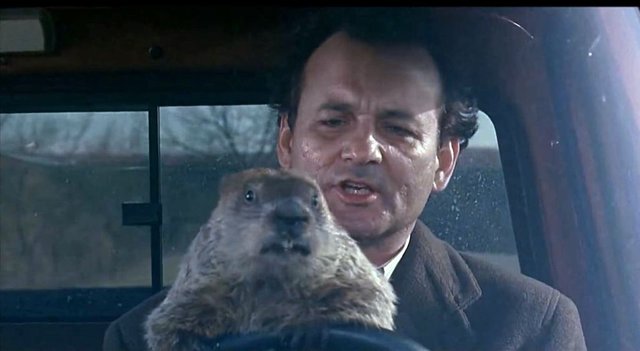 Bill-Murray-Punxsatawney-Phil-driving-car-Groundhog-Day-movie.jpg