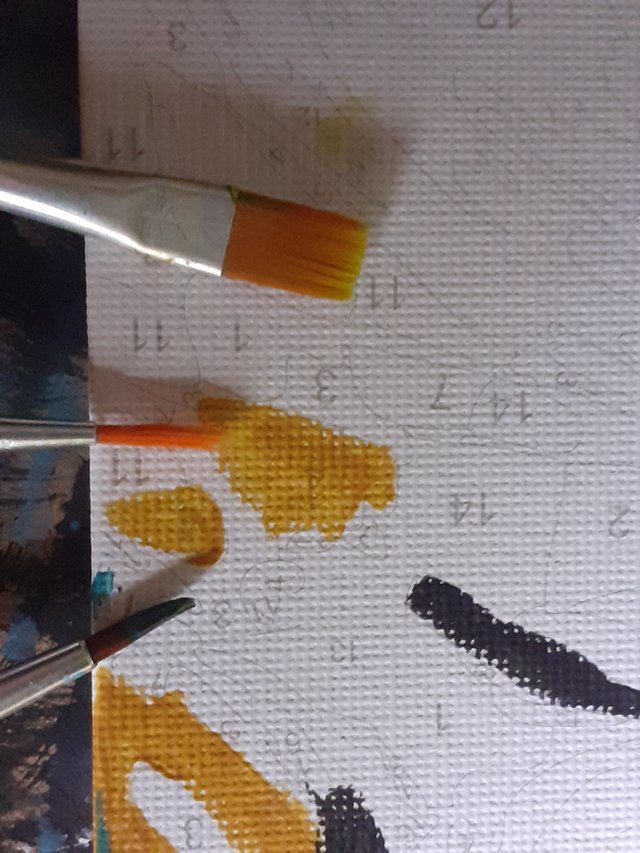 20250902_153451.jpg
