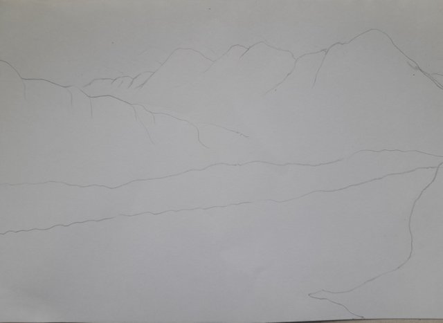 20250729_125324.jpg