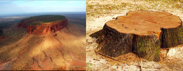 flat-top-mountain-or-tree-stump.png