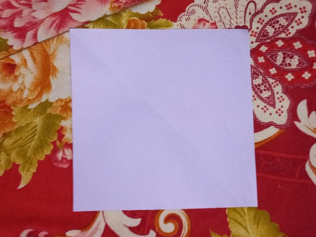 20250707_111103.jpg