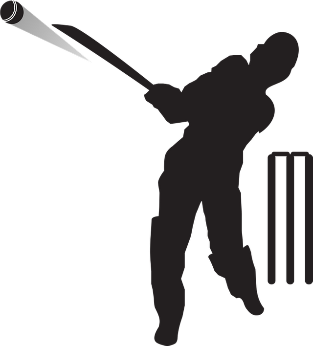 cricket-5251804_960_720.png