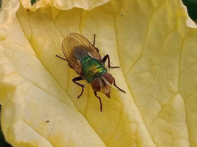 IMG20241106160057.jpg