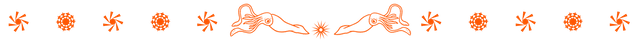 page divider (orange-squid).png