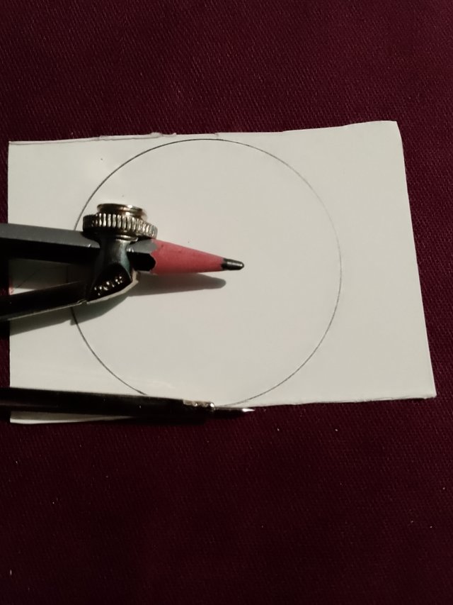 1000051496.jpg
