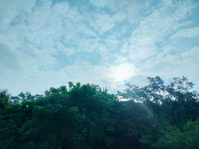 1000090219.jpg