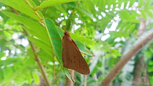 IMG20250428154253.jpg