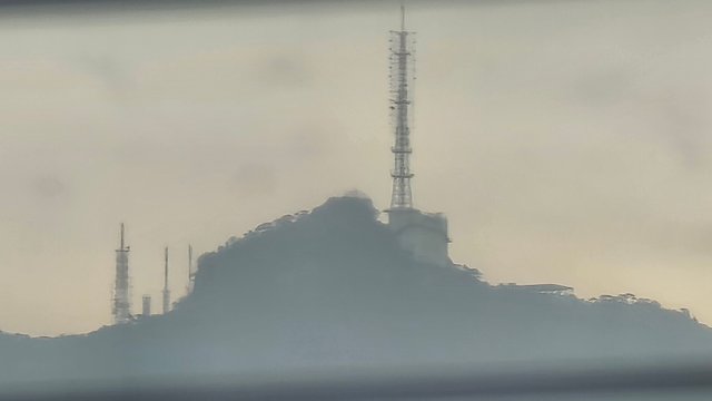 1000131005.jpg