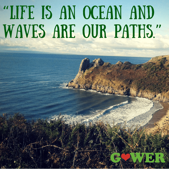 Life-is-an-ocean-and-waves-are-our-paths.png