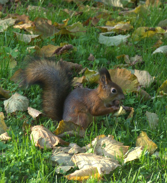dsc01435.jpg