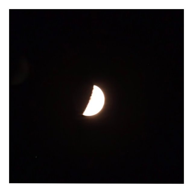 1000065027.jpg