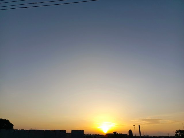 1000607823.jpg