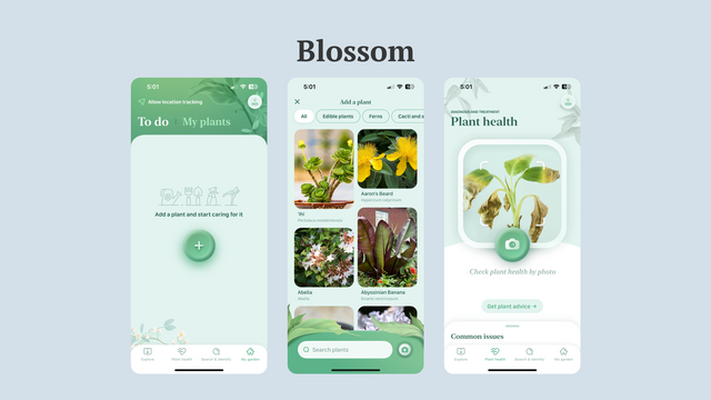Blossom.png