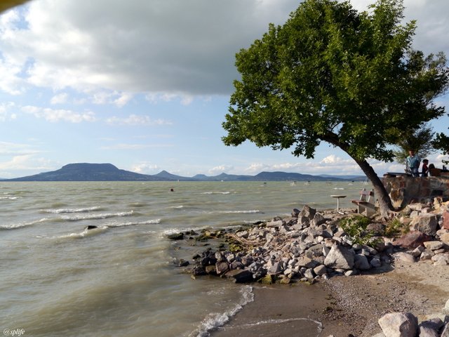 balatonlake.JPG