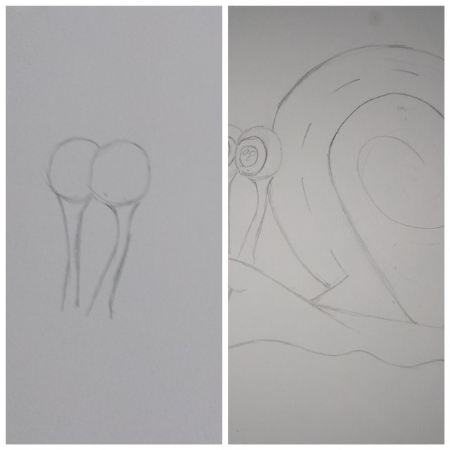 PhotoFrame_2023129193536980.jpg