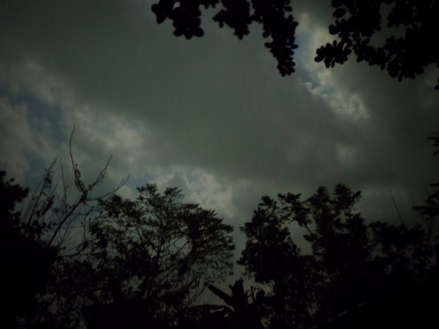 IMG_20250408_194334.jpg