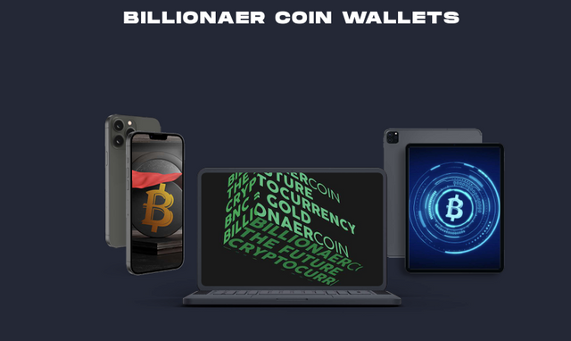 Billionaer wallet.png
