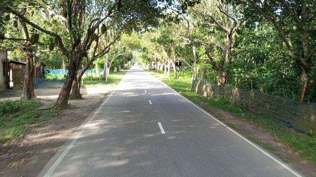 IMG_20230712_073952_1.jpg