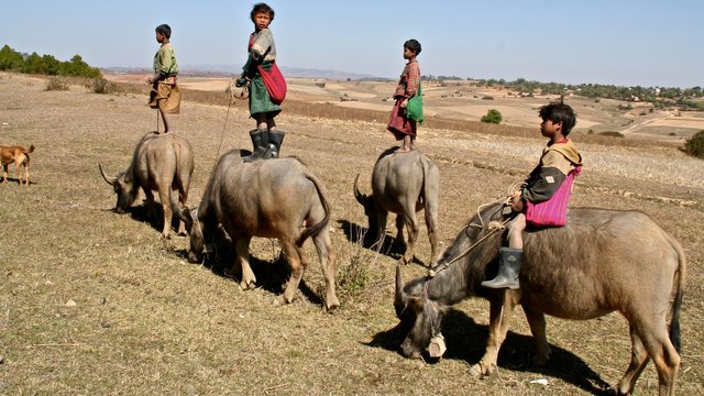 Myanmar_2006_1450.jpg