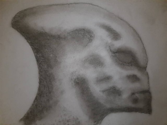 20250914_093154.jpg