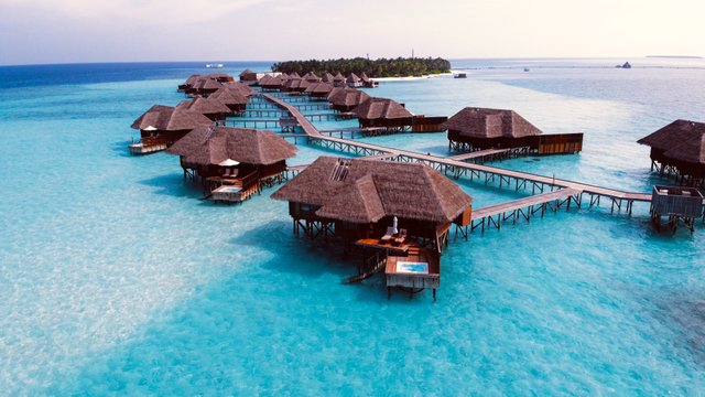 The Maldives.jpg