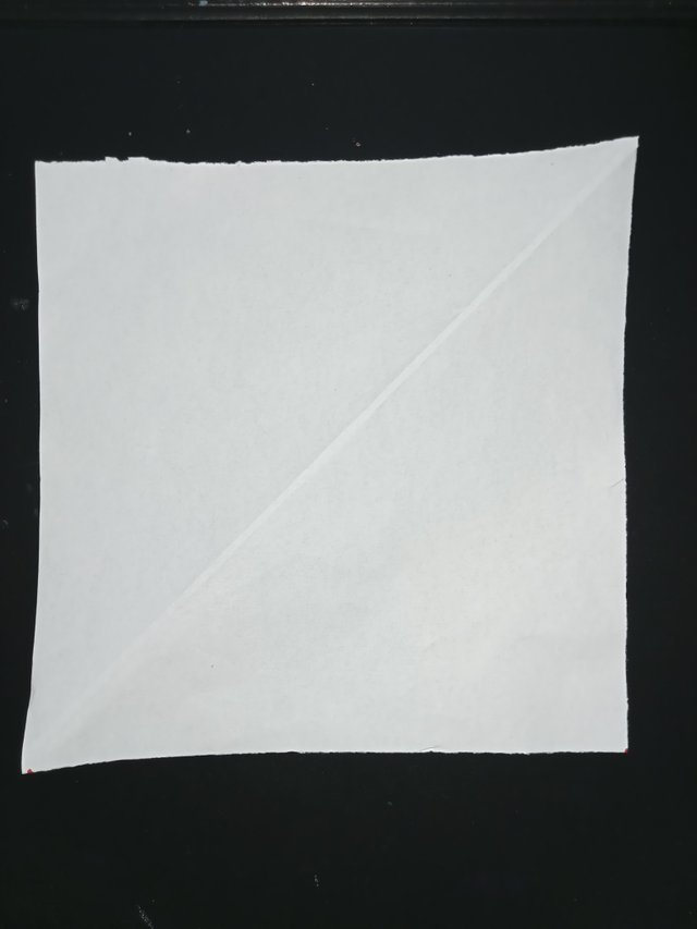 1000028029.jpg
