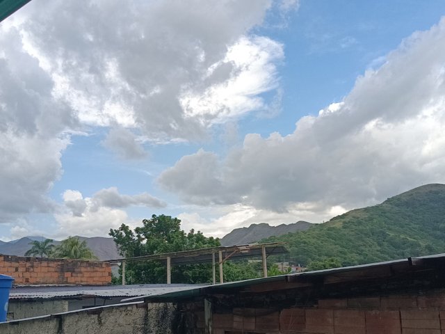 1000441561.jpg